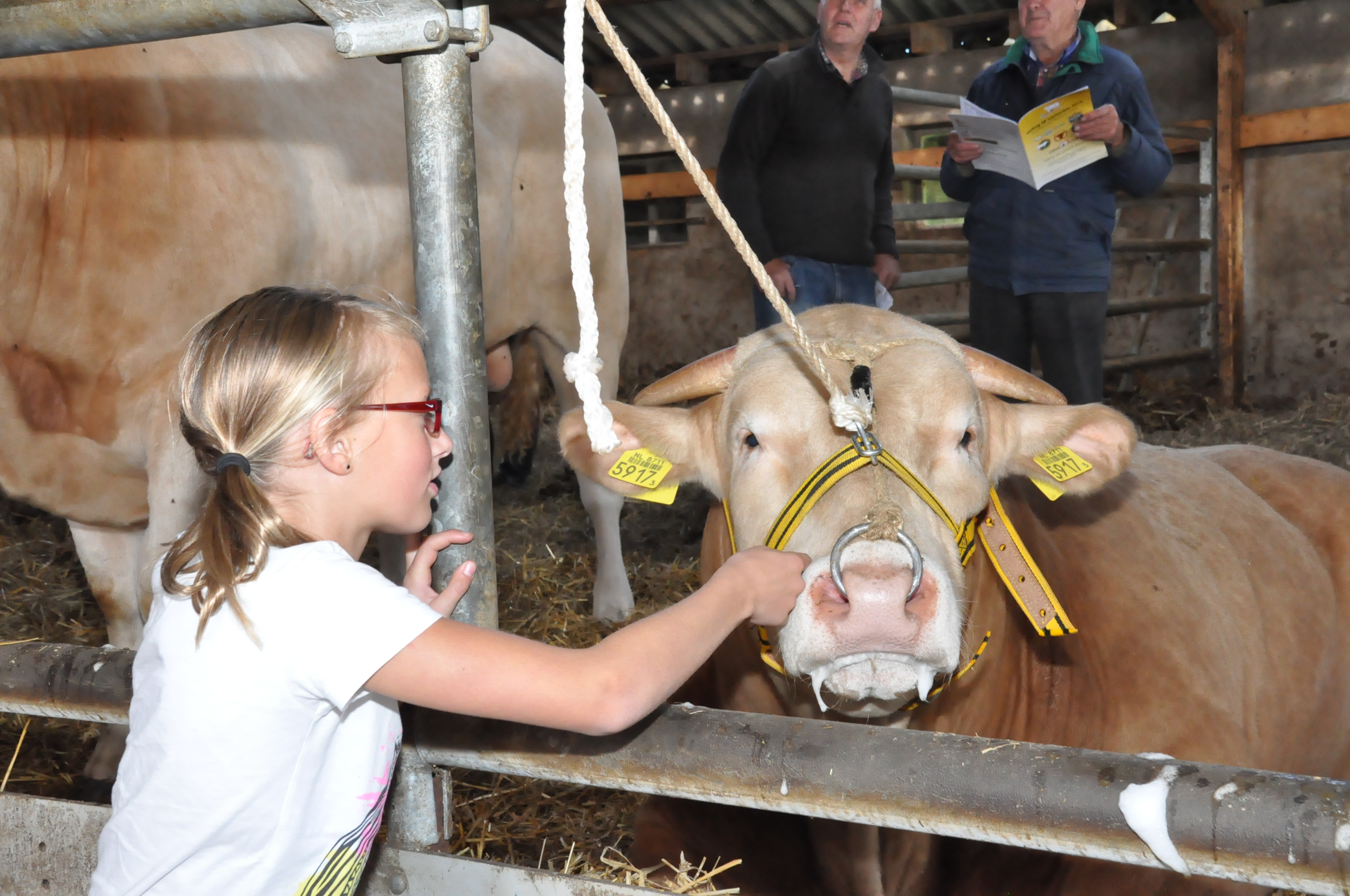 Groei in de testperiode bekend
