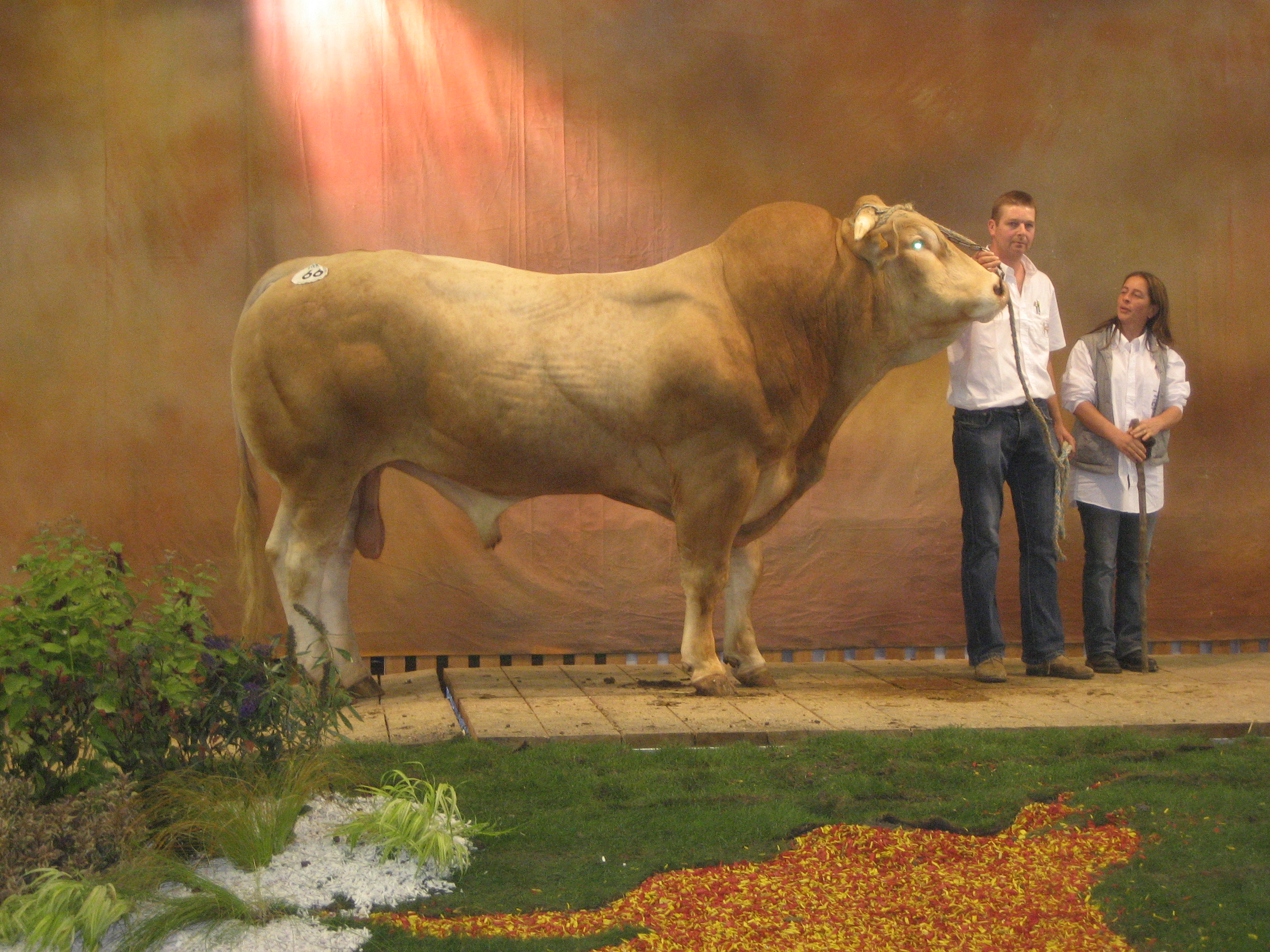 Catalogus Franse nationale keuring