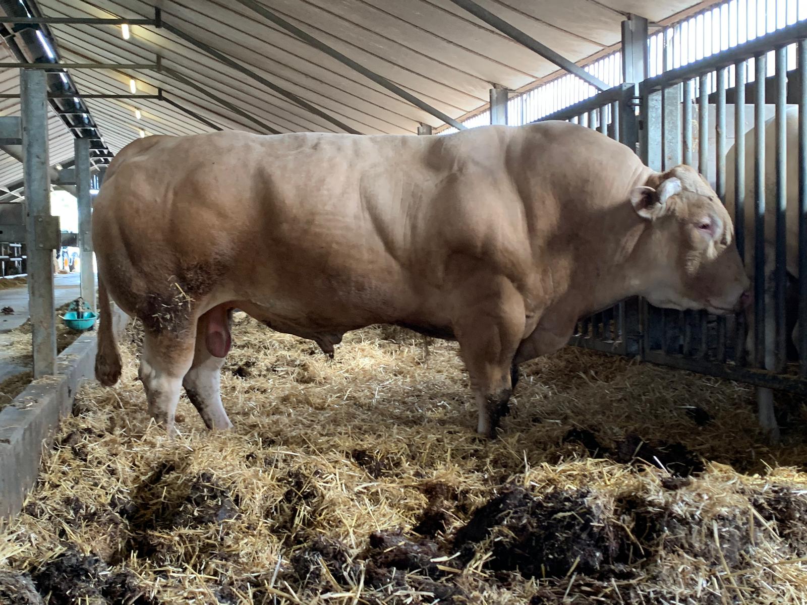 BAC Jaguar vestigt bijna nieuw record