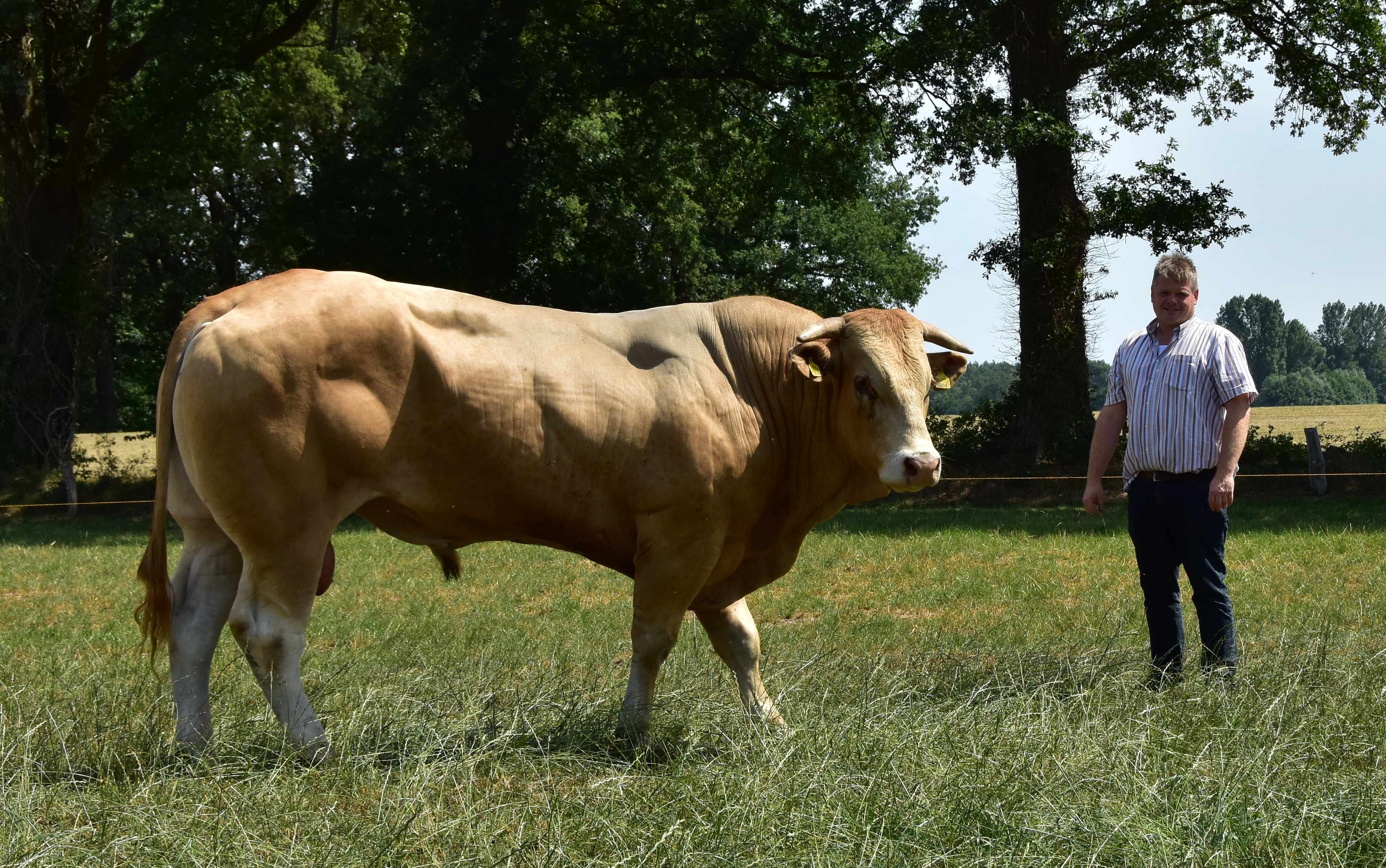 Familie Leusman liefhebbers in hart en nieren