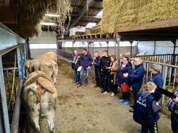 cursus 1