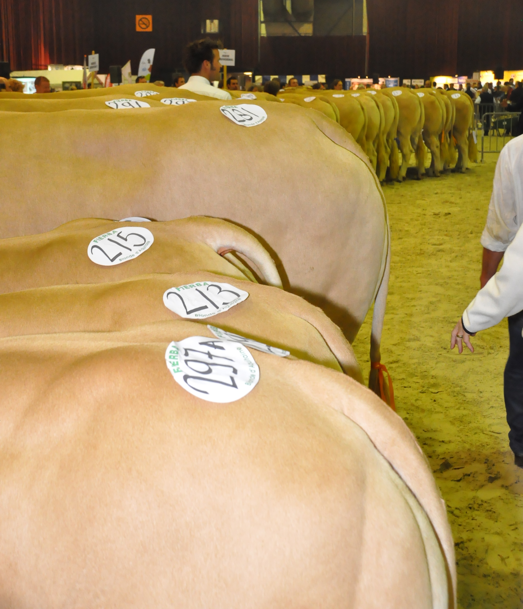 Programma nationale keuring Zwolle