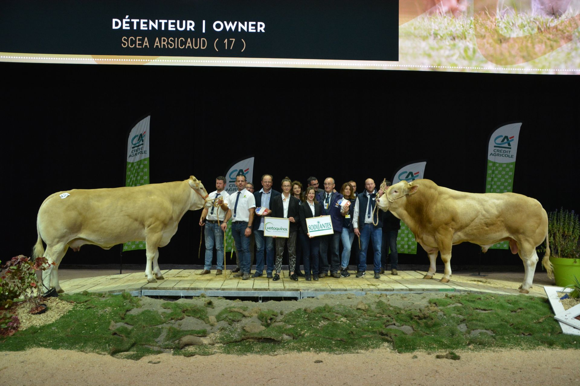 Fotoverslag nationale keuring Cournon