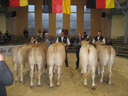 Cloppenburg