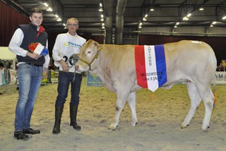Zwolle Ortensia