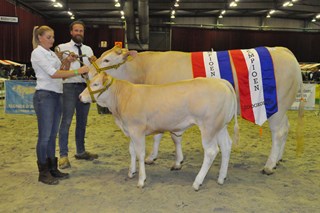 Zwolle Lieve vd Boerlanderij
