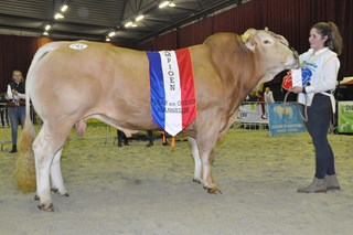 Zwolle Max