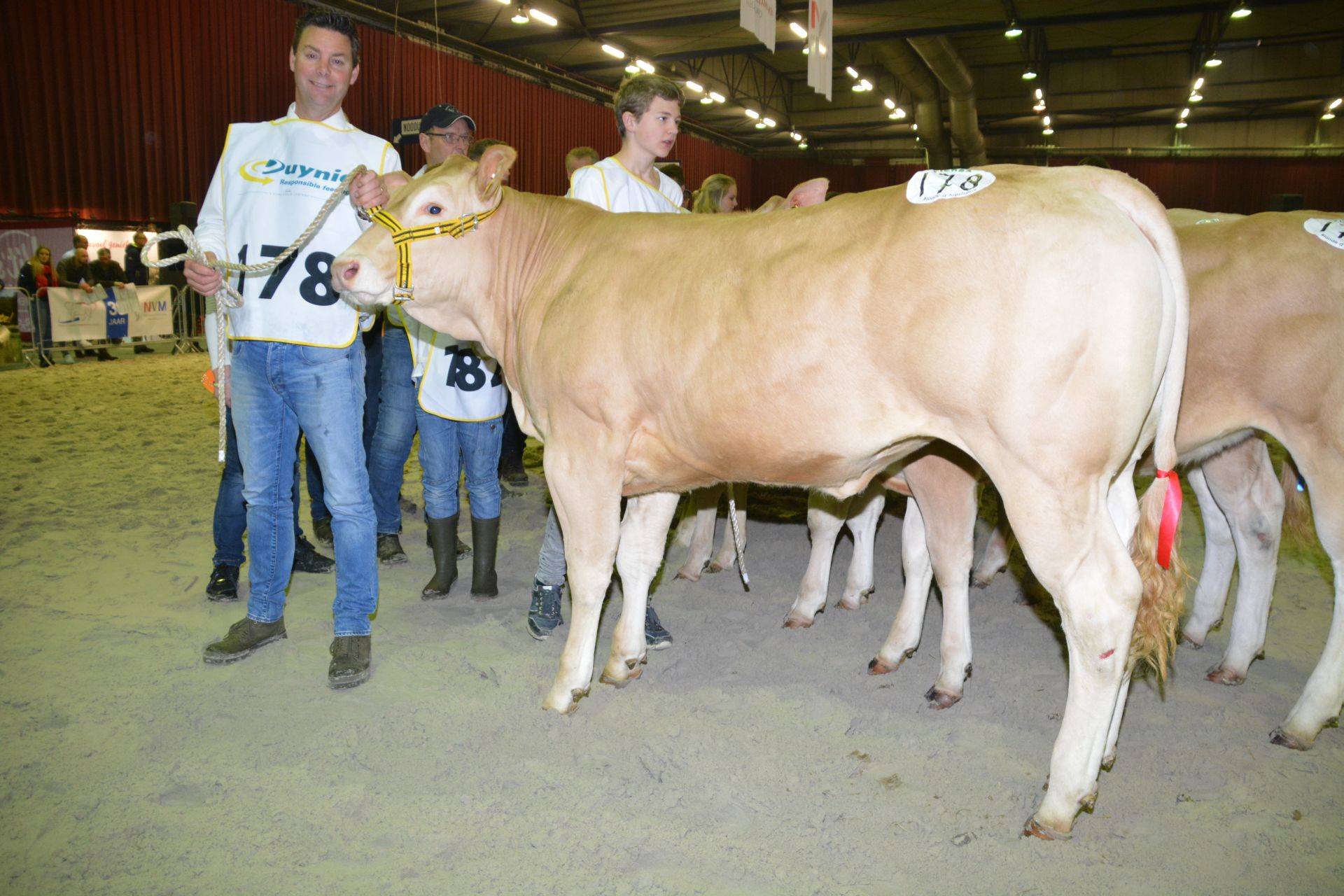 De reservekampioenen van de NVM in Zwolle