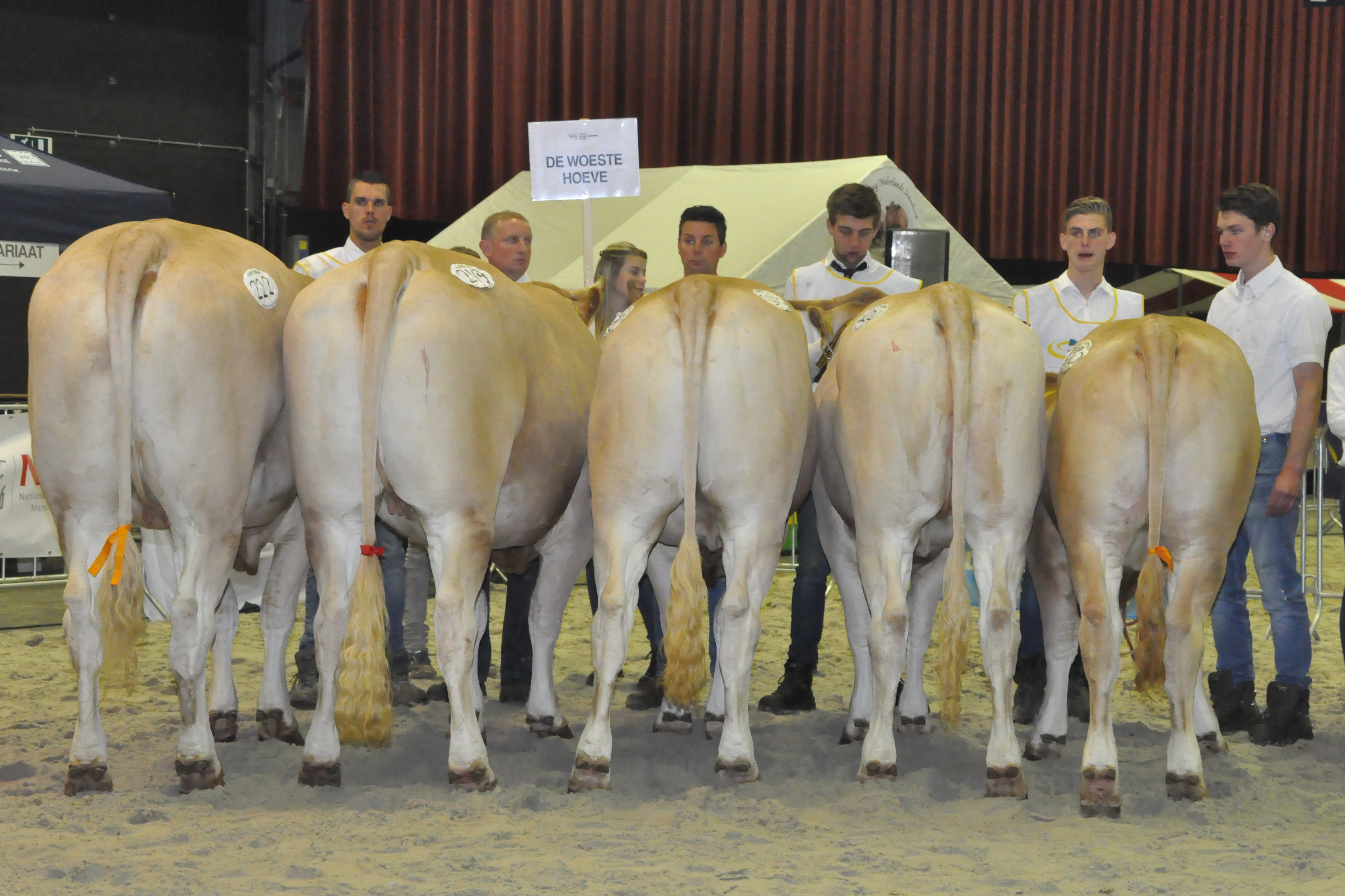 Klasse bedrijfsgroepen op de NVM