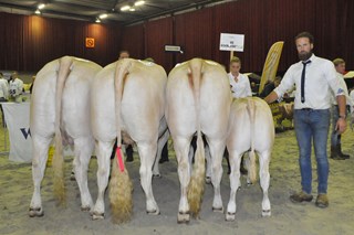 4 groep Boerlanderij