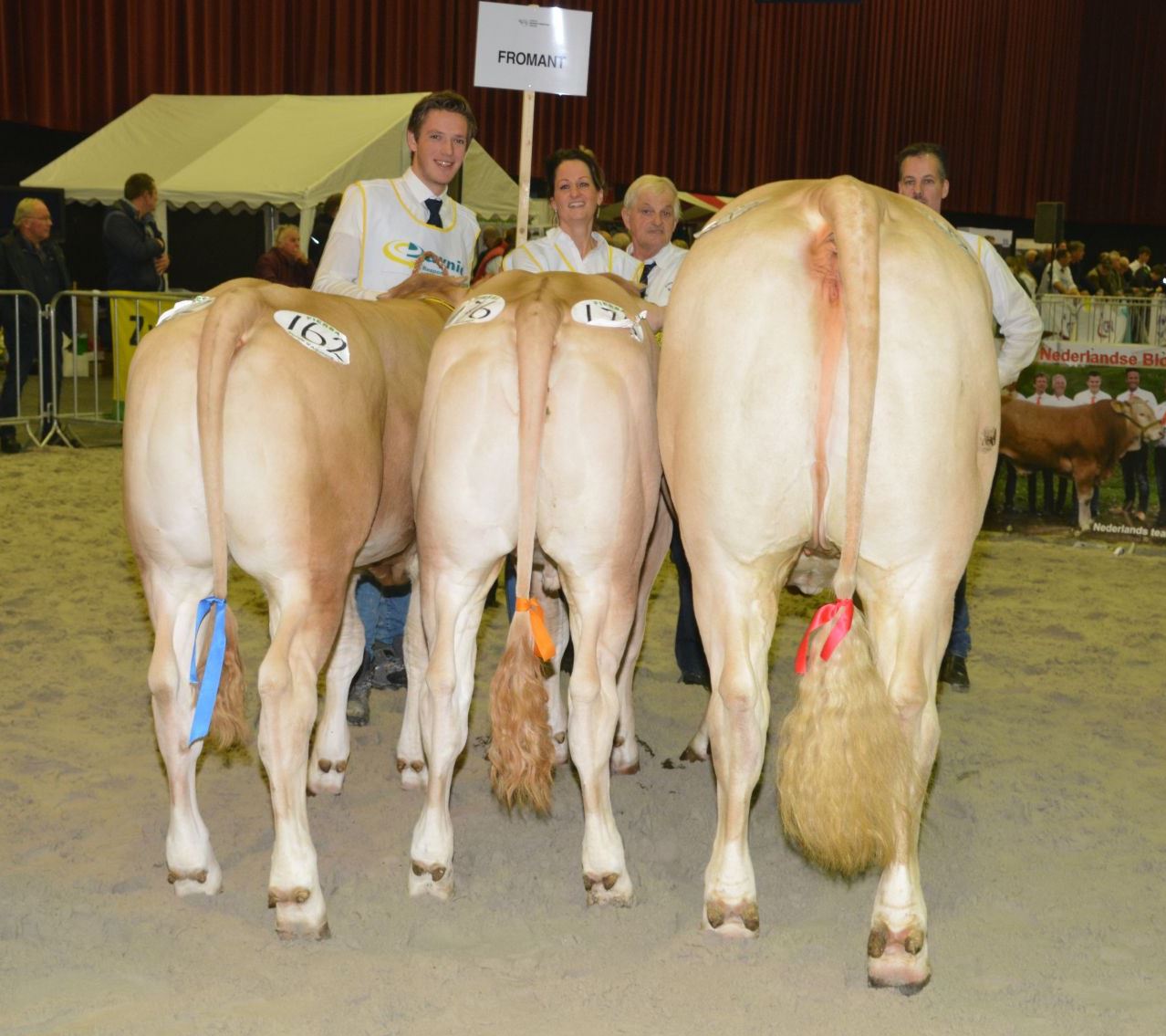 Negen fokgroepen op de NVM in Zwolle