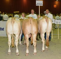 Nak. Jackpot vd Boerl_