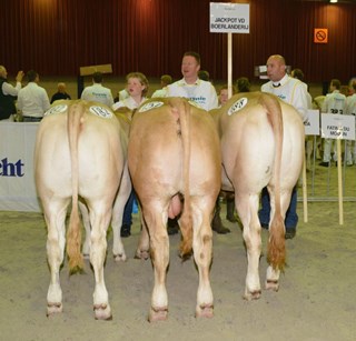 Nak. Jackpot vd Boerl_