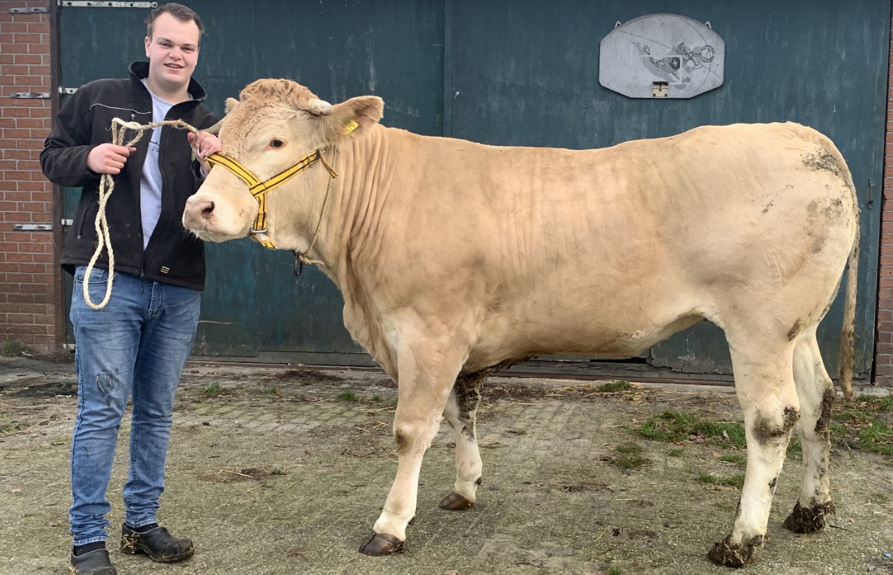 Jong en gek op Blond Ramon ten Brinke