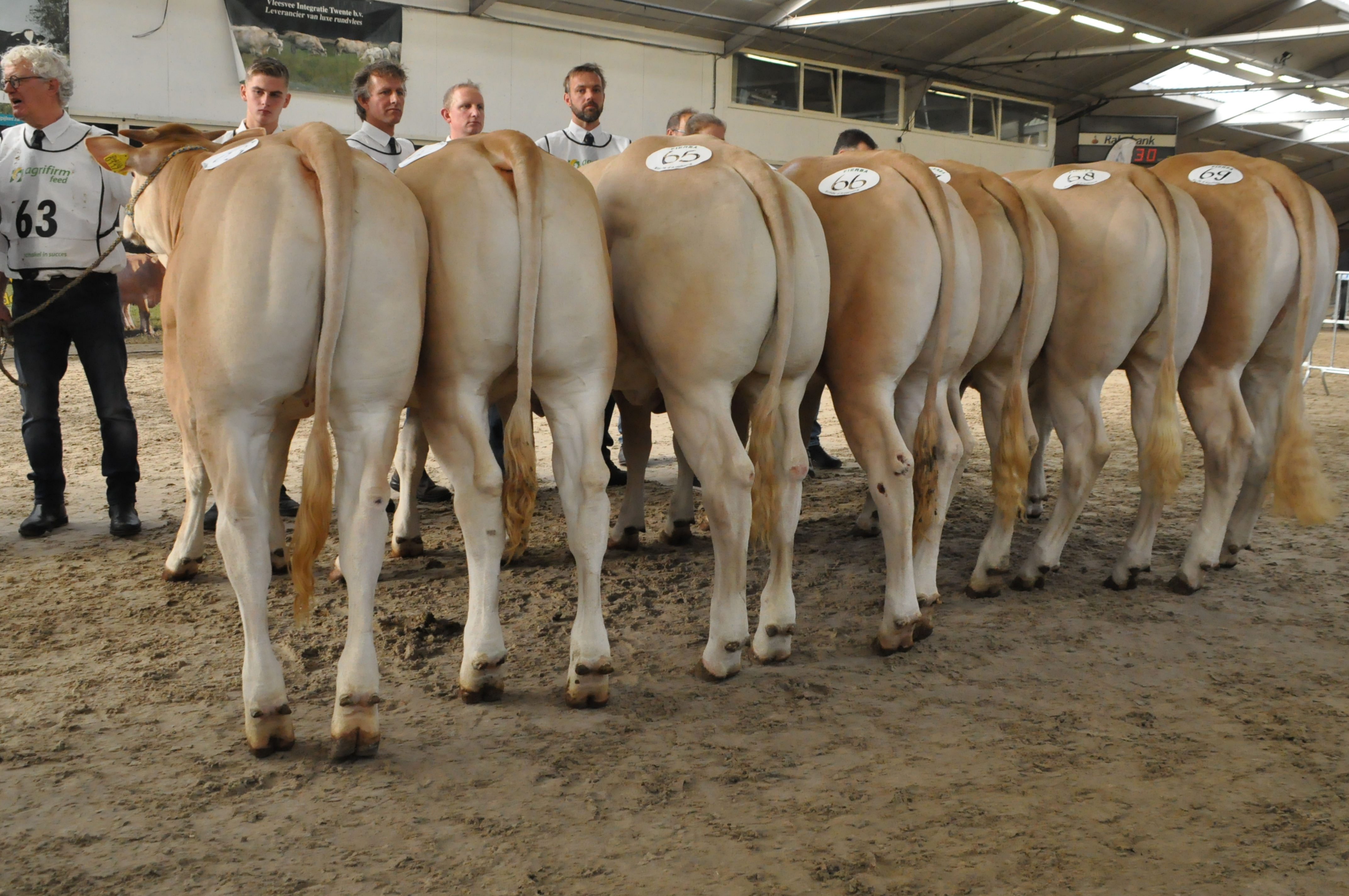 Nationale keuring op 31 oktober