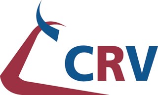 CRV logo rgb