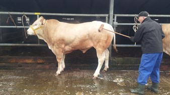 wassen