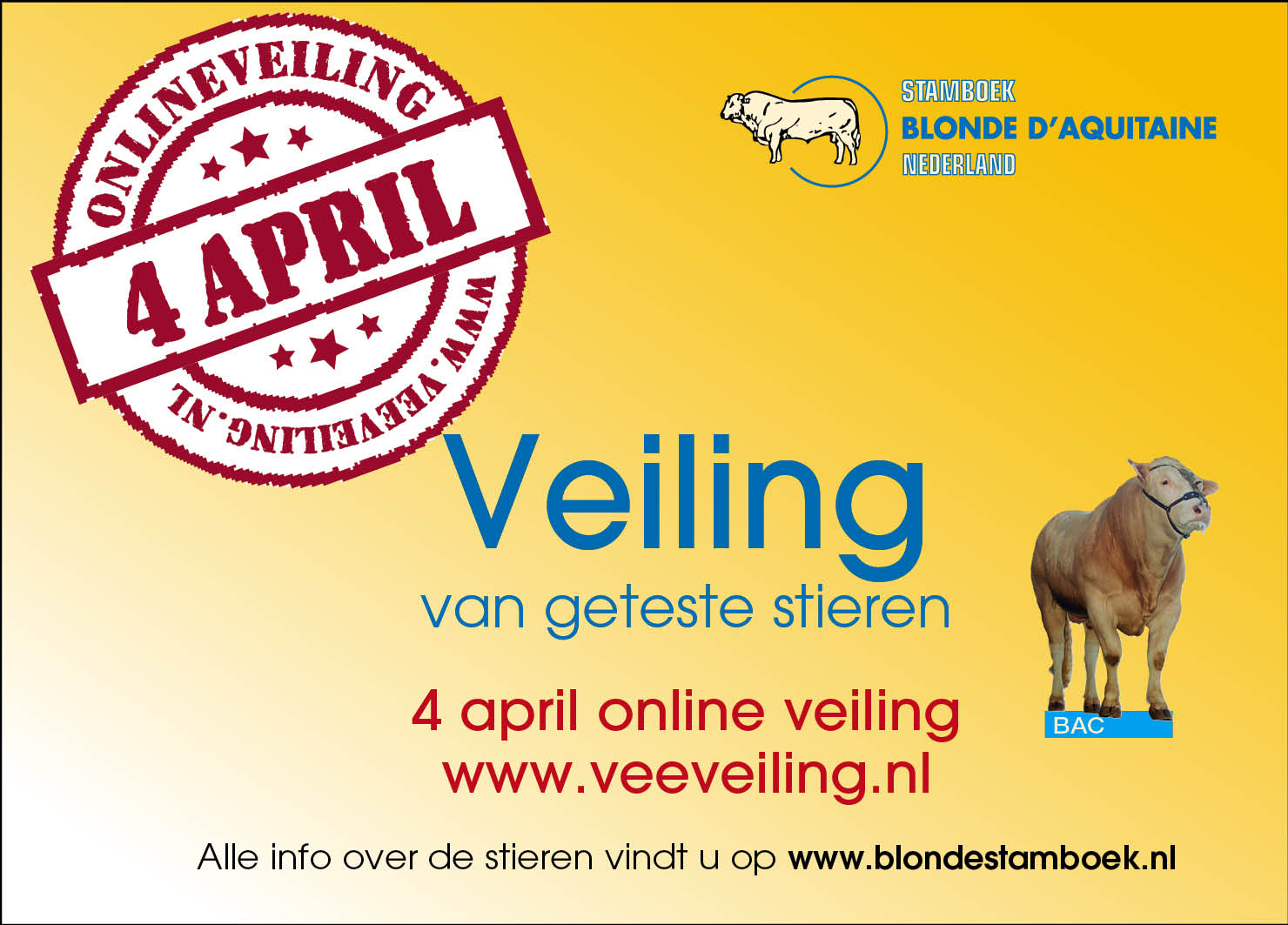 Uitgebreide cijfers BAC-veilingstieren online