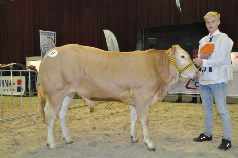 Jong en gek op Blond Joshua Visscher