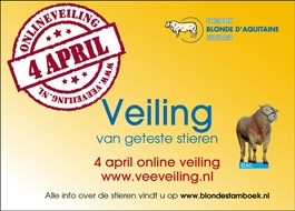 BAC-veiling online