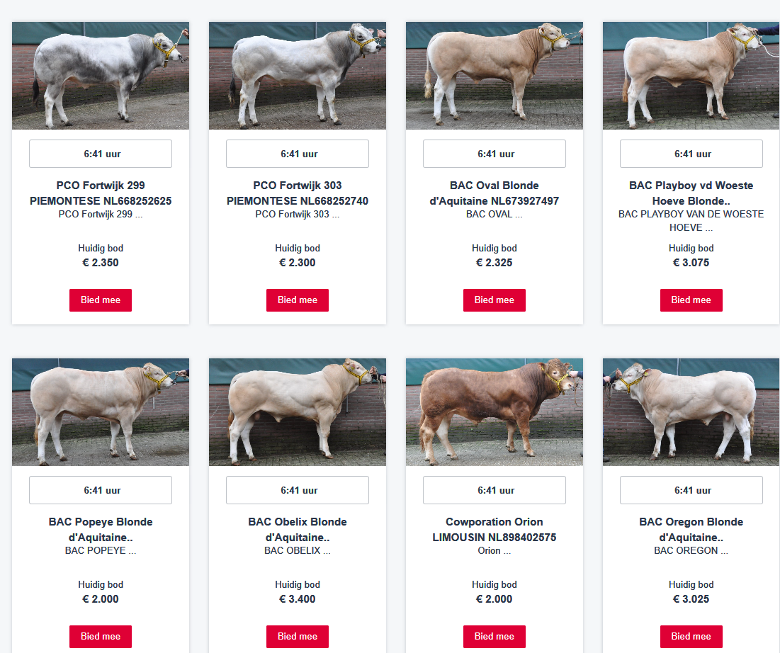 ONLINE veiling van de BAC-stieren tot vanmiddag 15.00 uur!