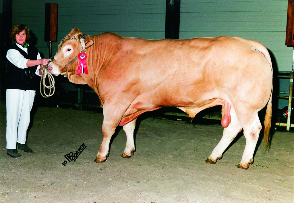 Van toen... Ebeniste