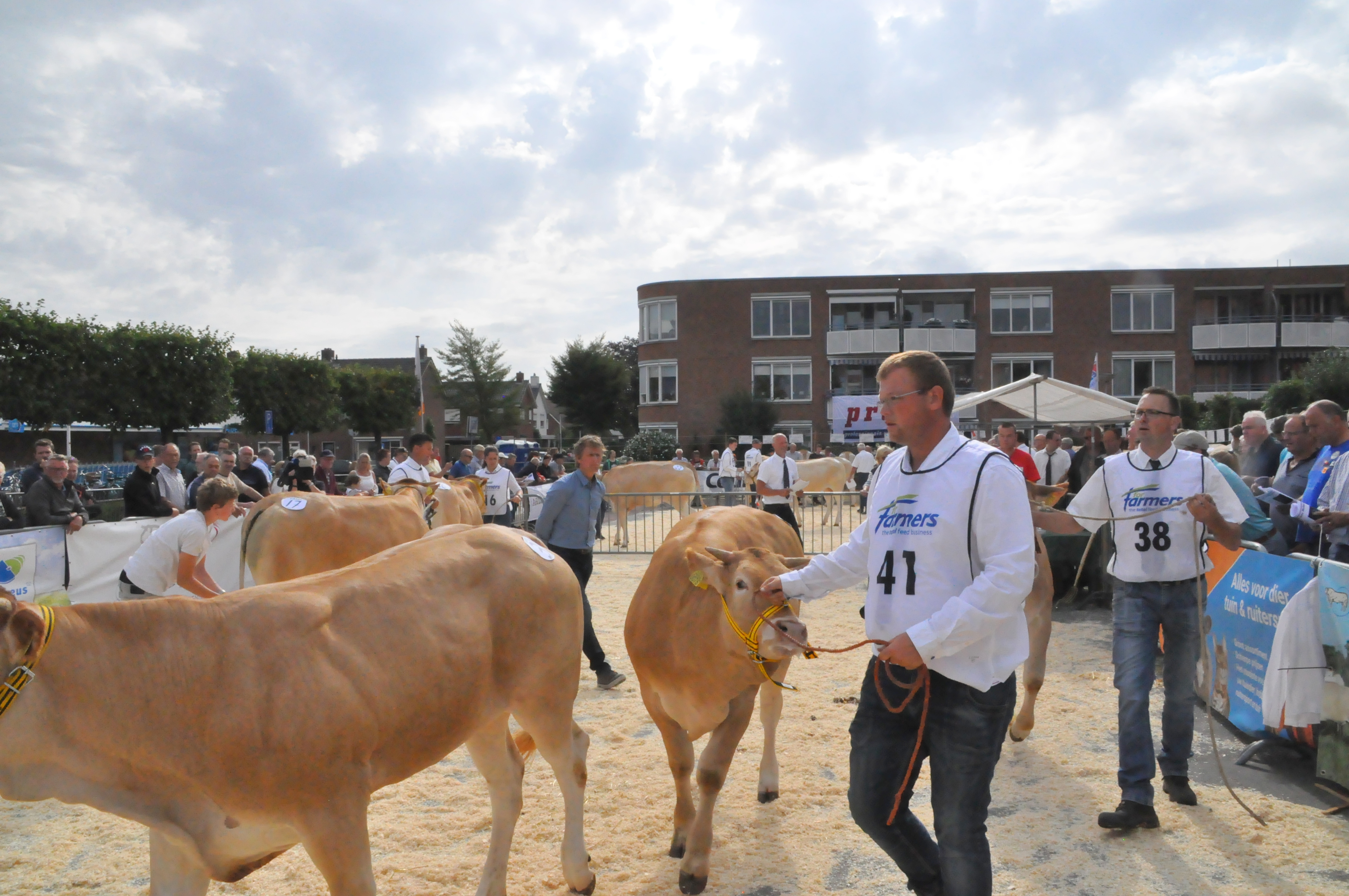 Dit jaar geen keuring Enter