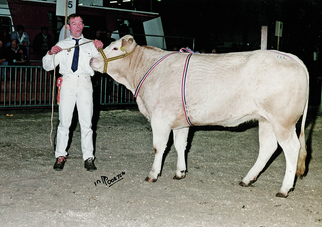 Van toen... Bakersfield Helma