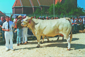 HOUKJE