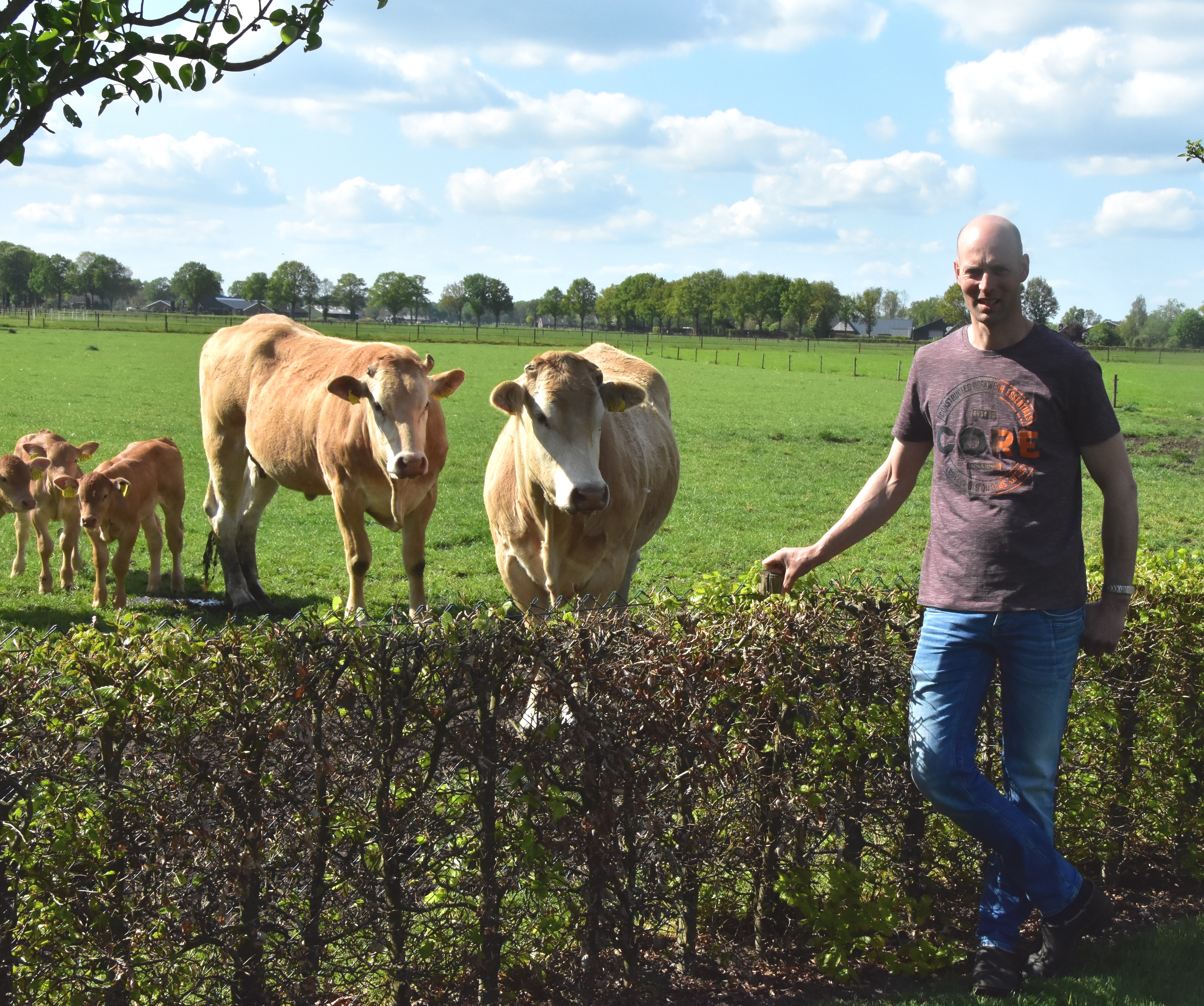 Passie voor de varkenshouderij en natuurlijk de Blonde d'Aquitaine