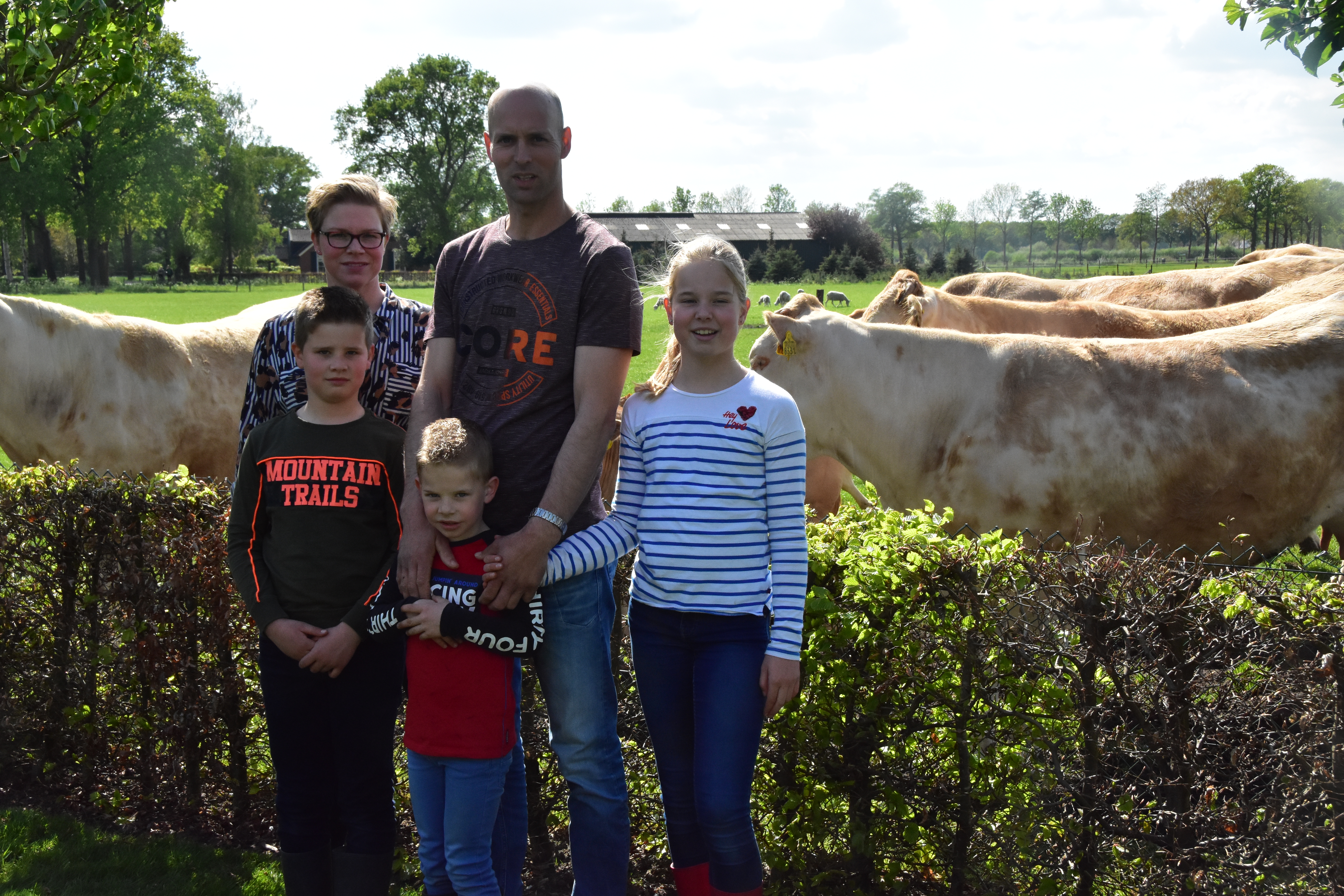 De familie Hulsman geniet van de Blonde d'Aquitaines.