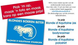blonde%20sticker