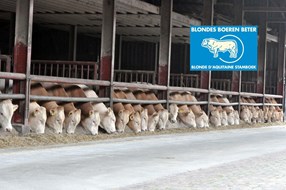 Blondes Boeren Beter