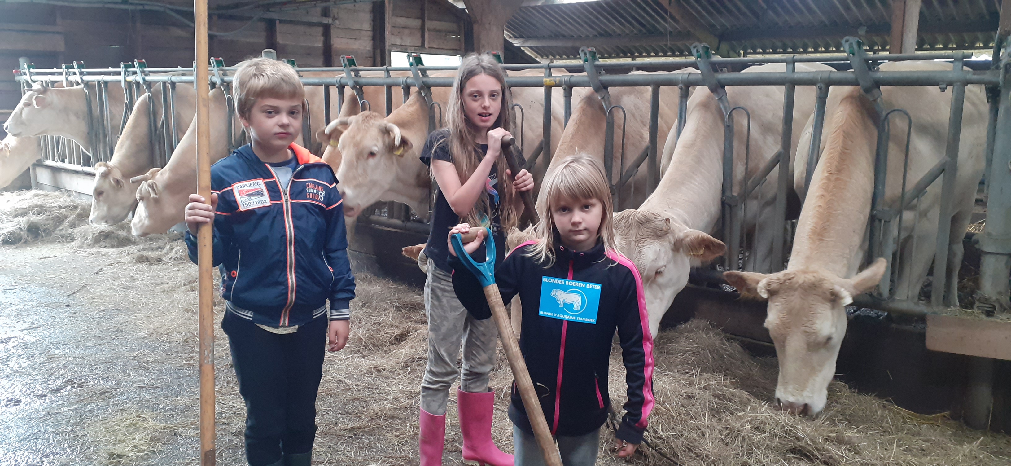 Uitslag Blondes Boeren Beter stickeractie