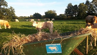 3 Familie Brink in Klarenbeek 