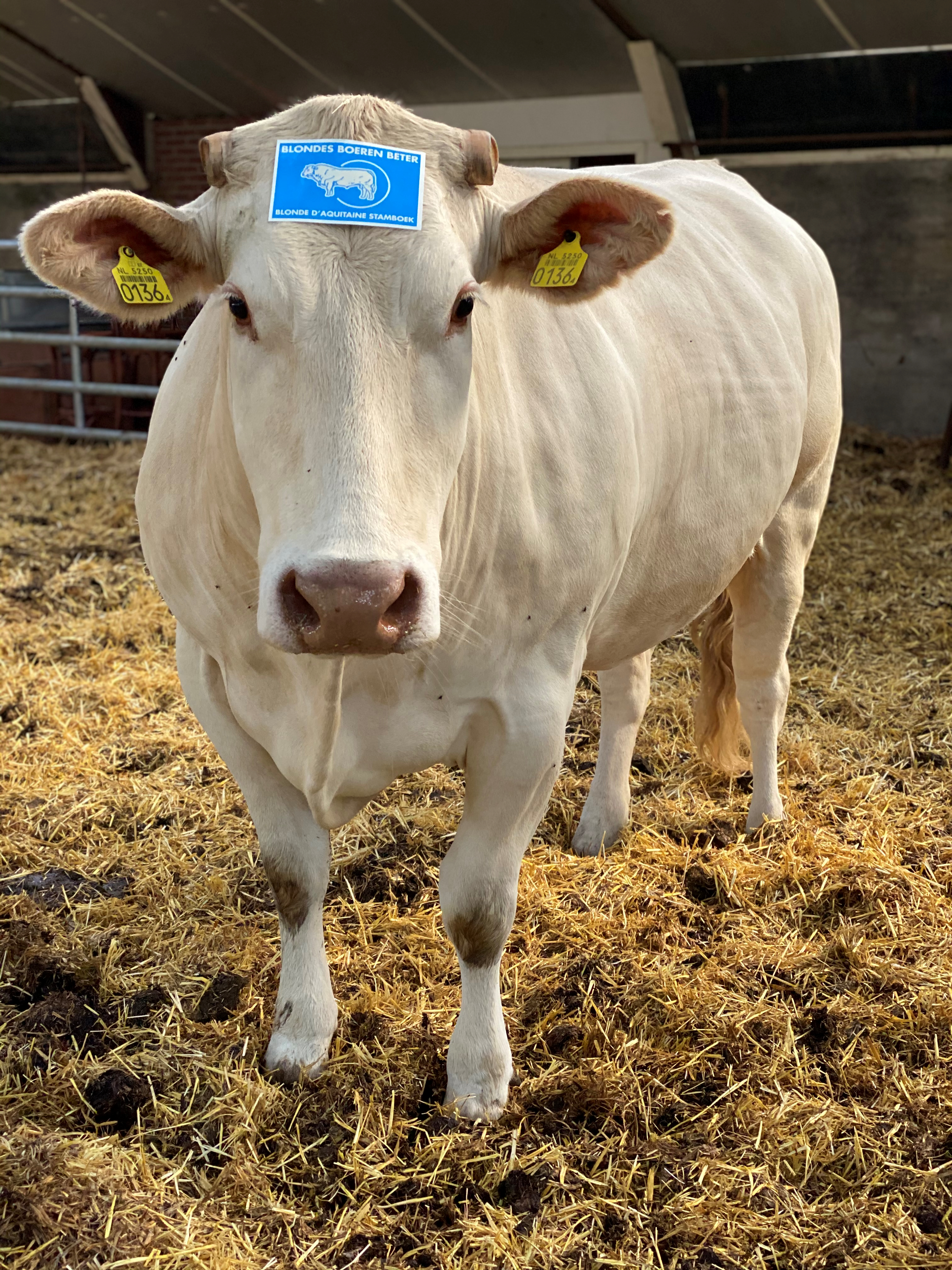 Nog meer foto's stickeractie