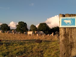 Fam. Kip in De Wijk