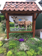Familie Busch in Buurse