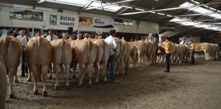 Marienheem 2016