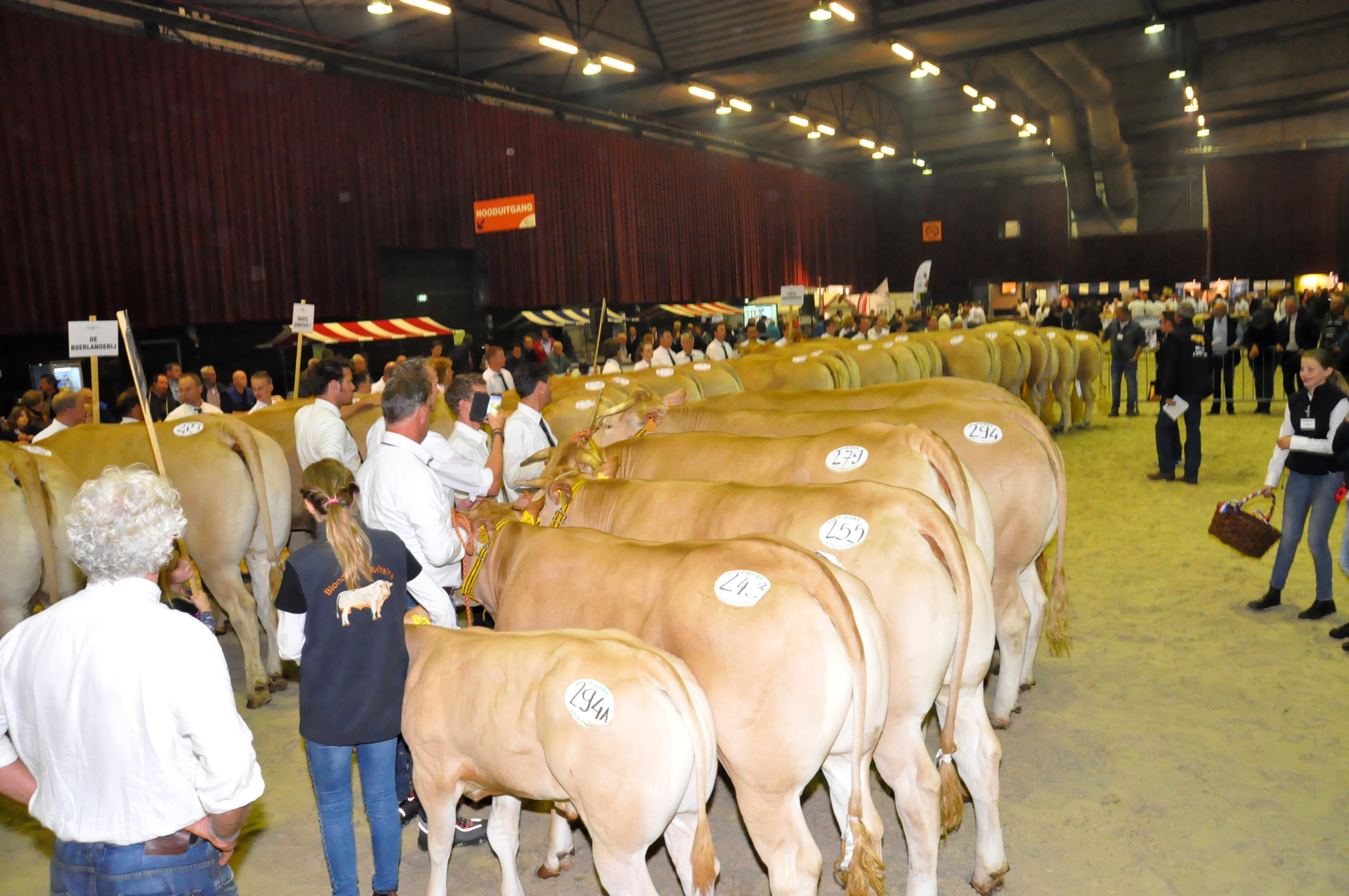 Algemene Ledenvergadering 