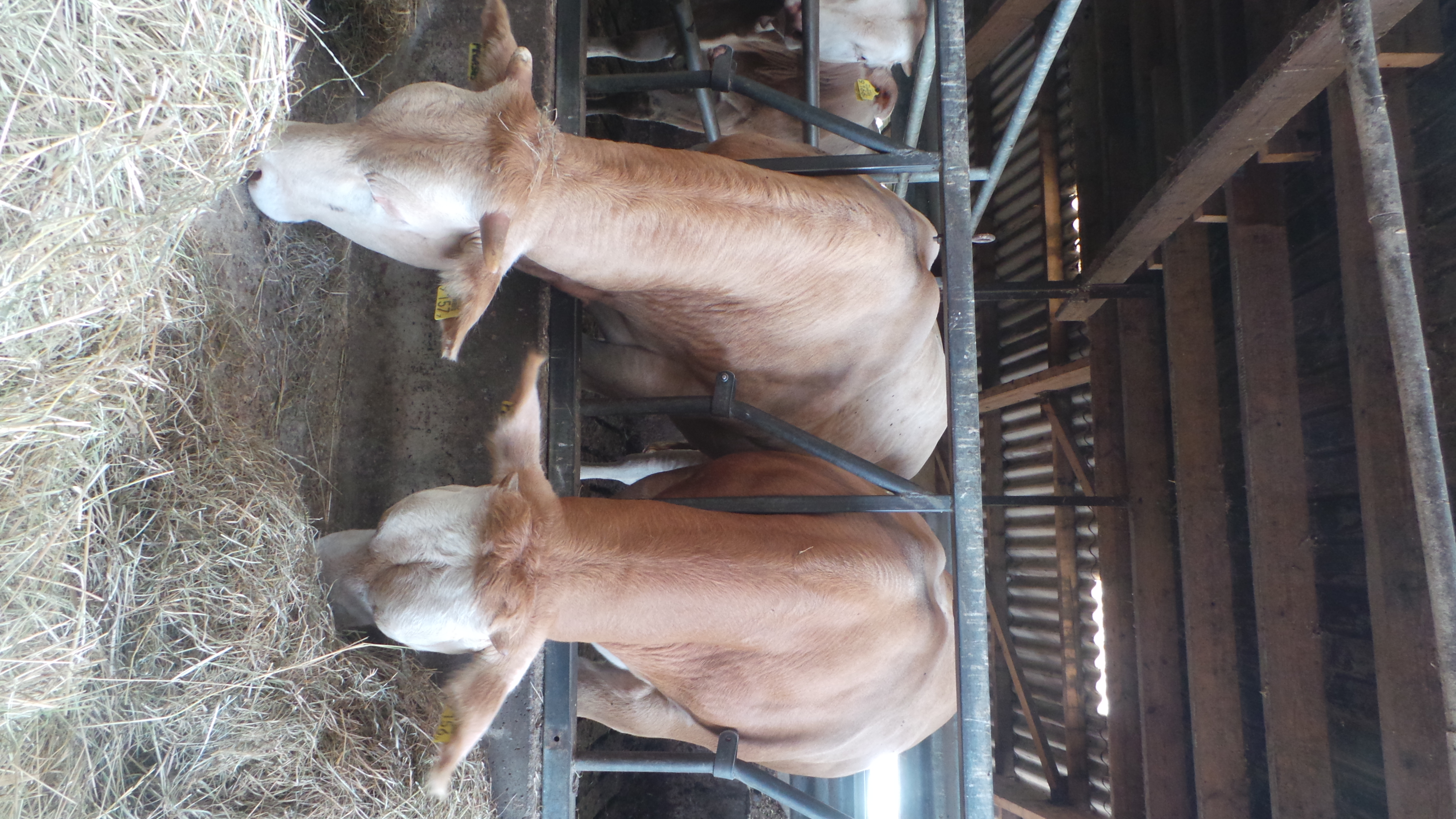 Impressie selectiedagen COT