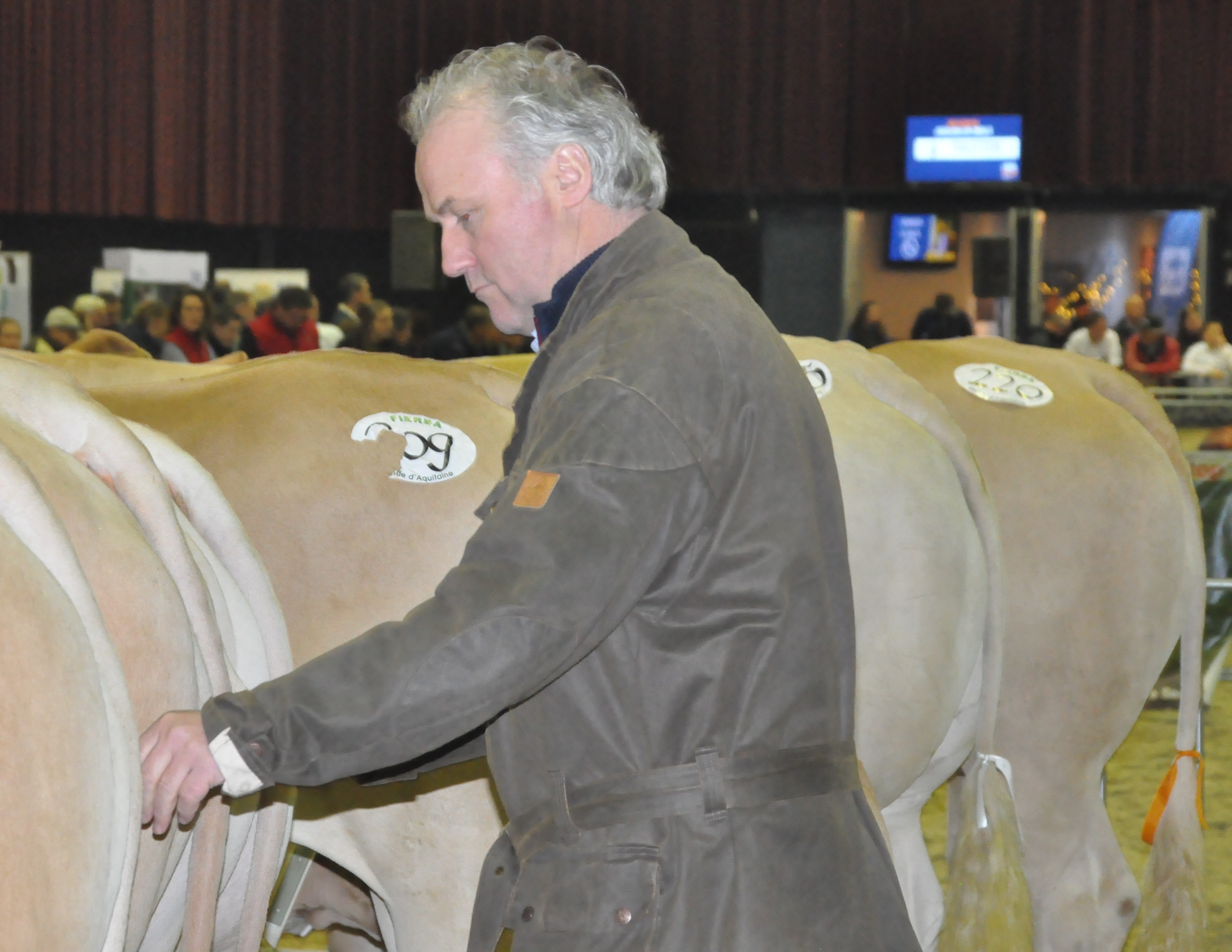 Peter Lutke Veldhuis overleden
