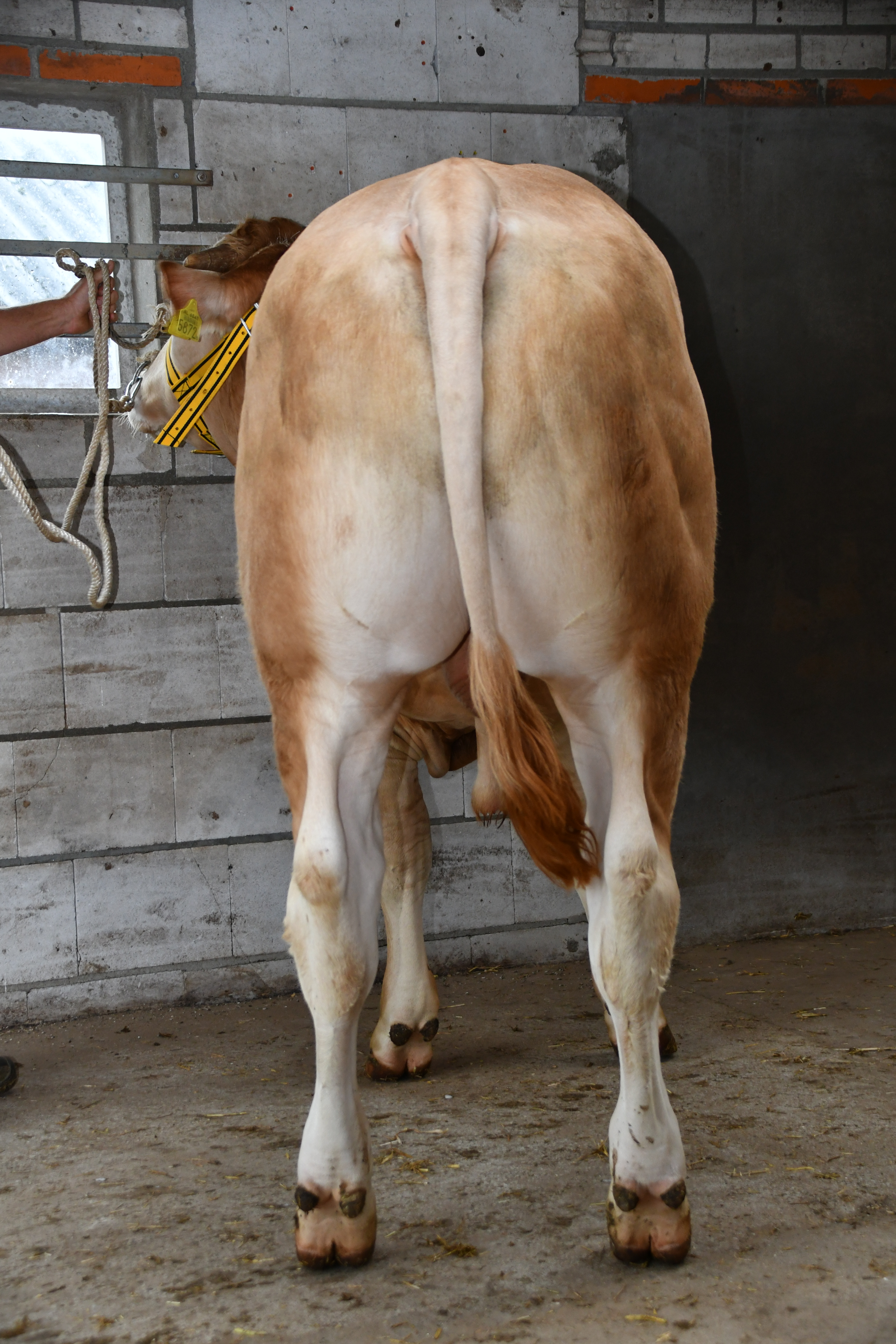 Kijkdag COT 12 september