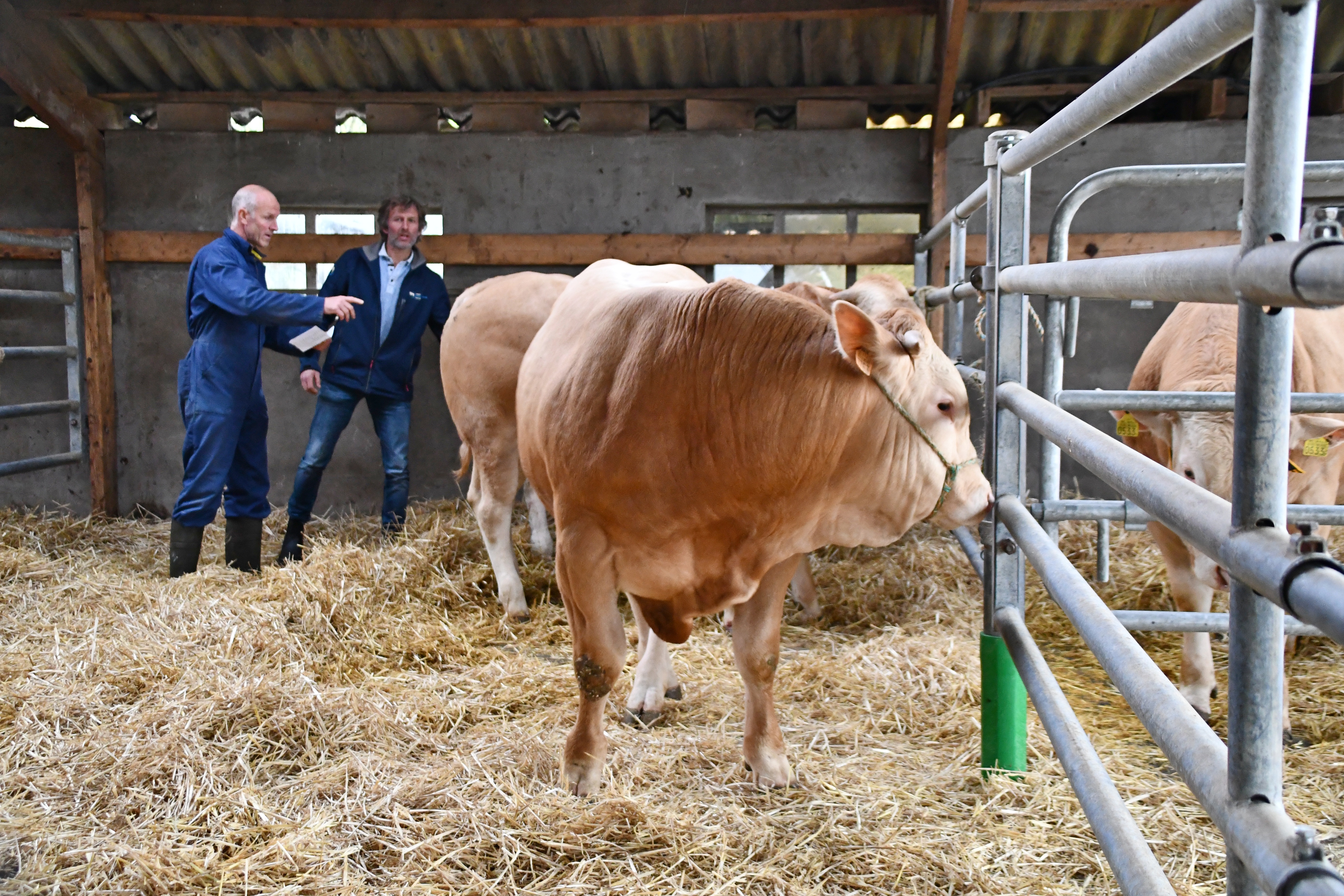 Nieuwe ronde op het COT