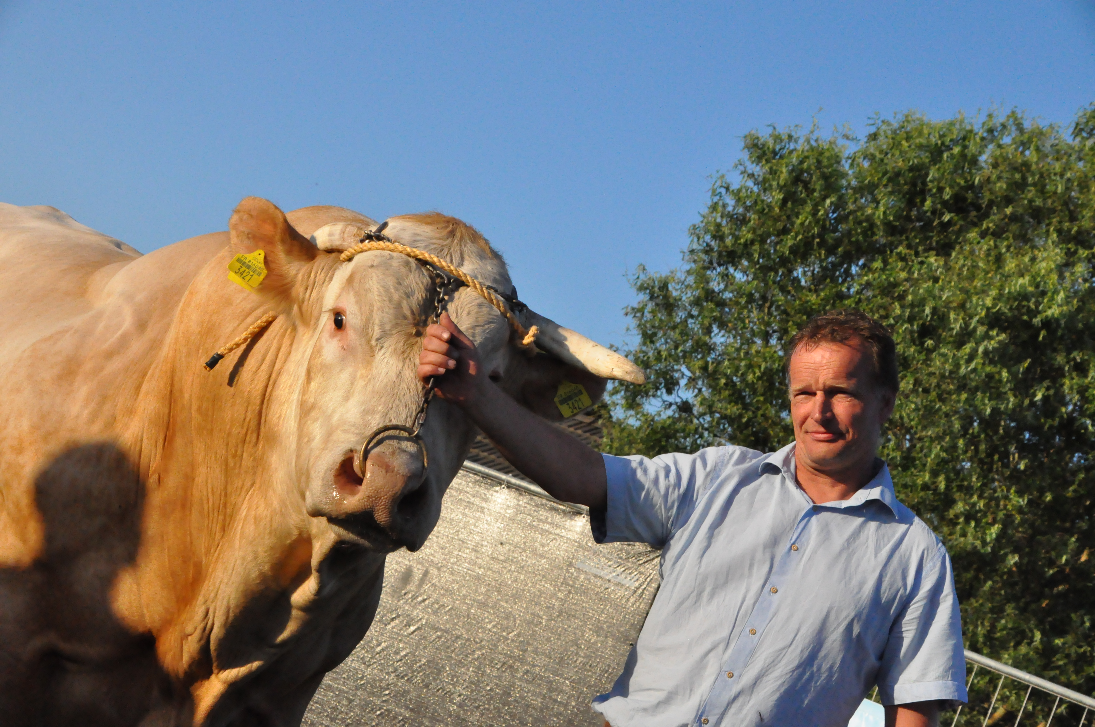 Deze week kan het nog