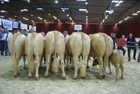 bedrijfsgroep Druivendaal