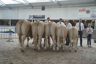 bedrijfsgroep Spekenbrink