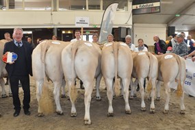 Hoeve Druivendaal kampioen