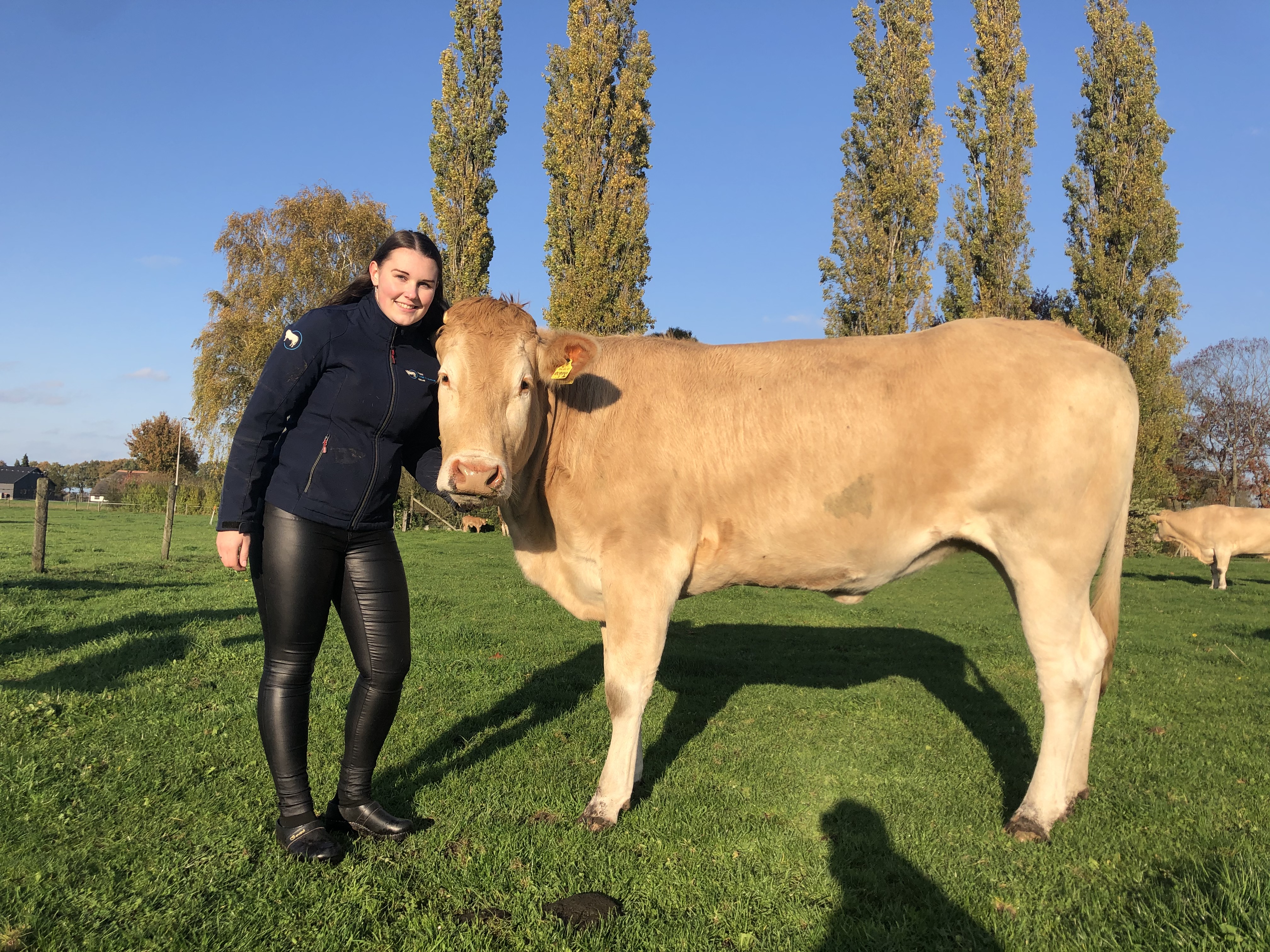 Mijn mooiste koe op de boerderij