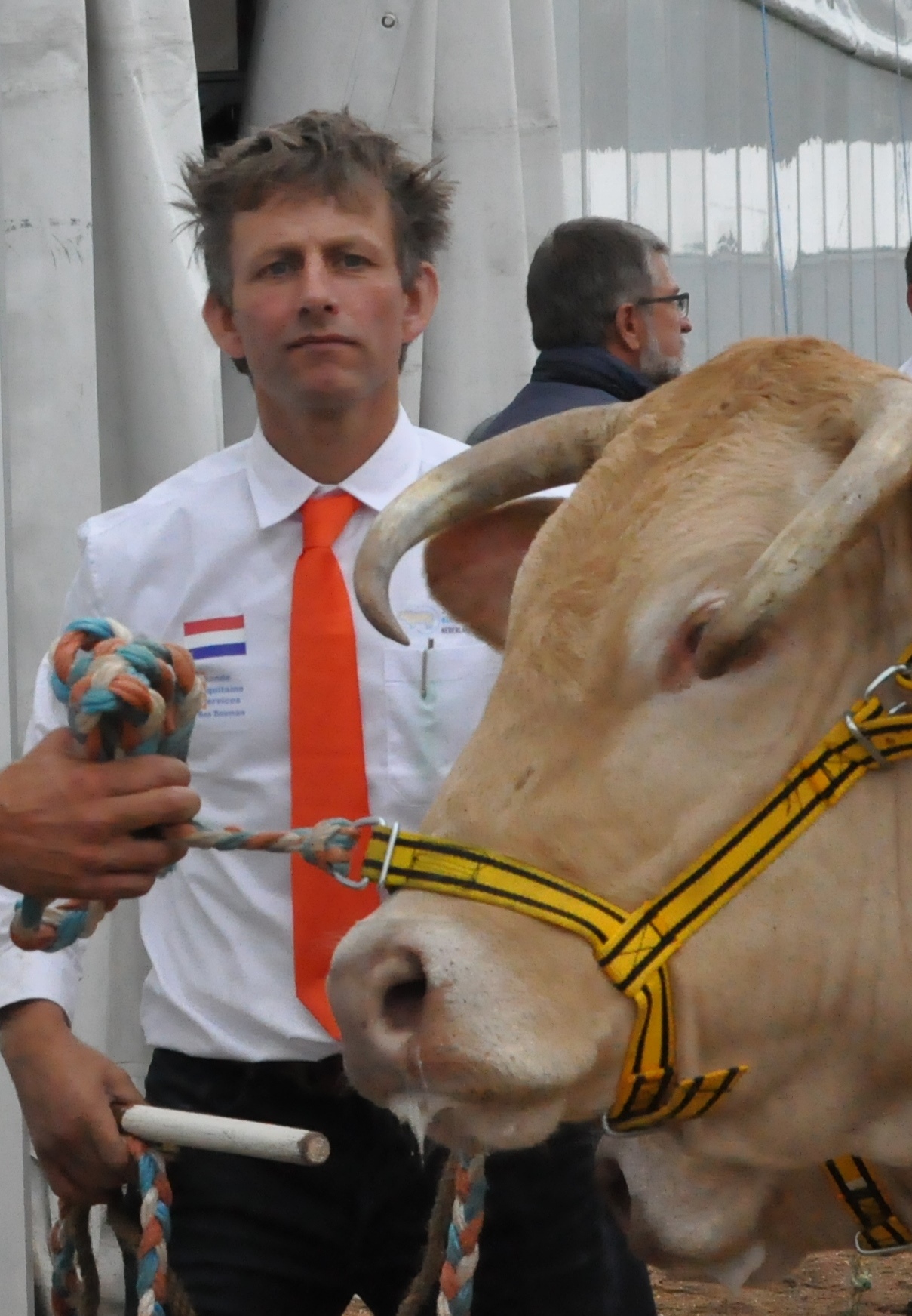 Online stierenpresentatie door Marcel Gerritsen